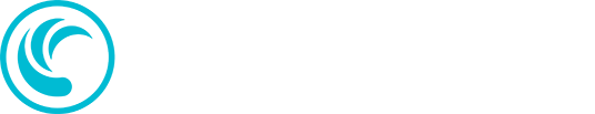 TD SYNNEX logo
